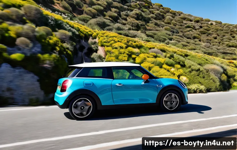 미니카 트렌드와 신제품 출시 관련 이미지 2